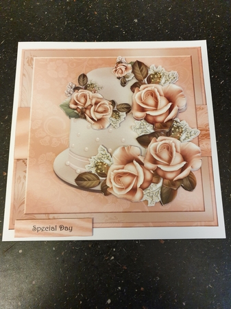 Special  Cake   &  Roses  Mini Kit by Beverley Cook