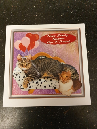 Birthday cats  by Beverley Cook