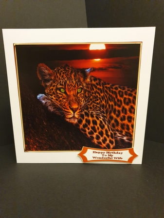 The Leopard Resting At Sunset - 8x8 Mini Kit by Beverley Cook
