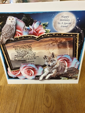 Moon Dust Roses 2 by Beverley Cook