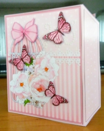 3D Gift Box Card Kit 3d Decoupage - Butterfly & Flowers Birdcage by Beverley Hassell