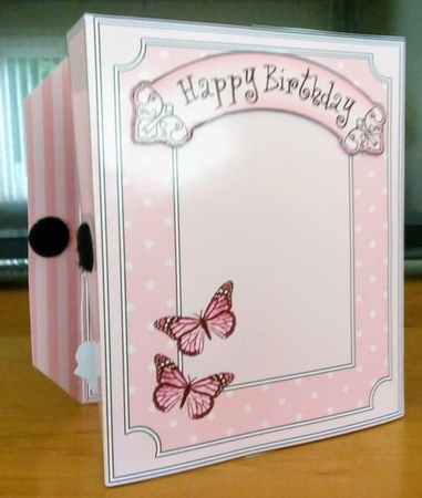 3D Gift Box Card Kit 3d Decoupage - Butterfly & Flowers Birdcage by Beverley Hassell