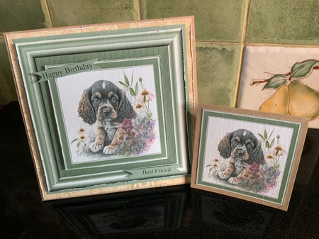 American Cocker puppy by Beverley Hazelgrave
