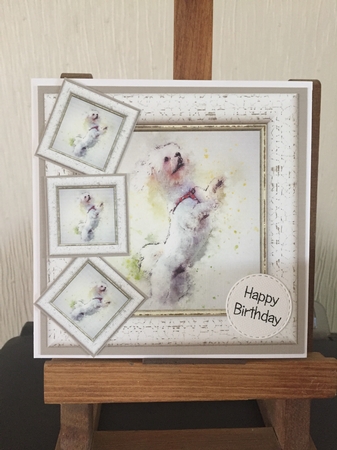 Watercolour Splatter Art - Dogs & Cats - Exclusive Bumper Kit by Beverley Hazelgrave