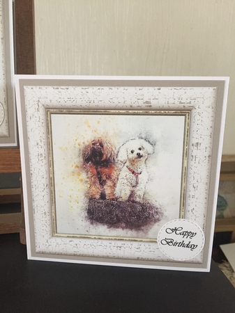 Watercolour Splatter Art - Dogs & Cats - Exclusive Bumper Kit by Beverley Hazelgrave