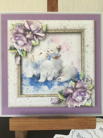 Kitten Kisses by Beverley Hazelgrave
