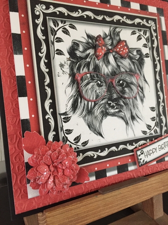 Have a Pawsome Day by Beverley Hazelgrave