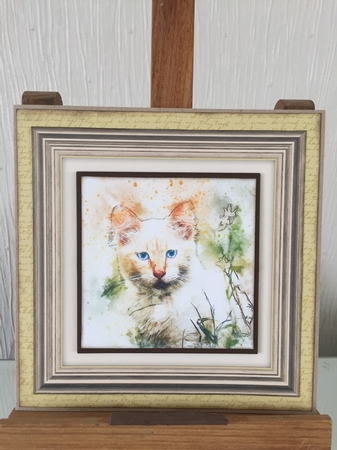Cat 1 8x8 Card Front / Topper by Beverley Hazelgrave