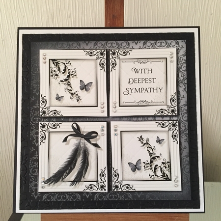 Feathers by Beverley Hazelgrave