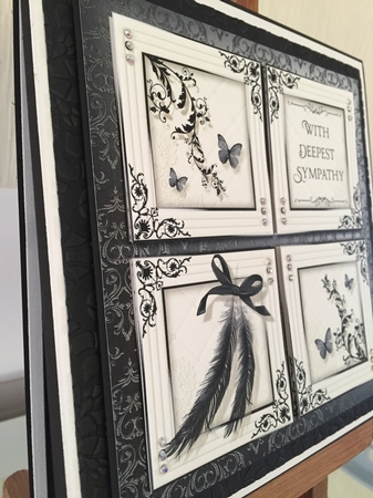 Feathers by Beverley Hazelgrave