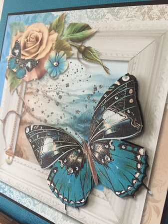 Butterfly 1 Insert by Beverley Hazelgrave