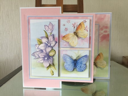 Warm flowers of summer by Beverley Hazelgrave