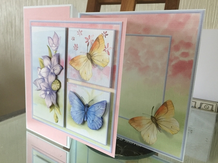 Warm flowers of summer by Beverley Hazelgrave