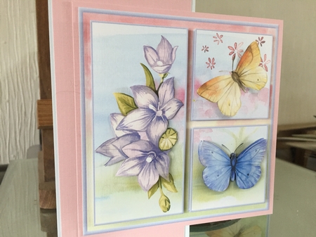 Warm flowers of summer by Beverley Hazelgrave