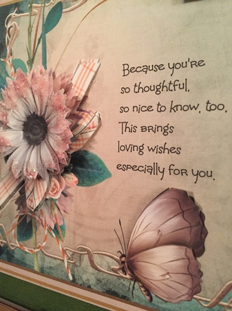 Pink daisy and butterfly by Beverley Hazelgrave