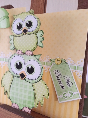 3D Shaped No-Hole Fold Back Mini Kit -   New Baby Little Hoot Owls by Beverley Hazelgrave