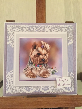  Yorkie with Snowdrop by Beverley Hazelgrave