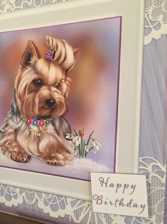 Yorkie with Snowdrop by Beverley Hazelgrave