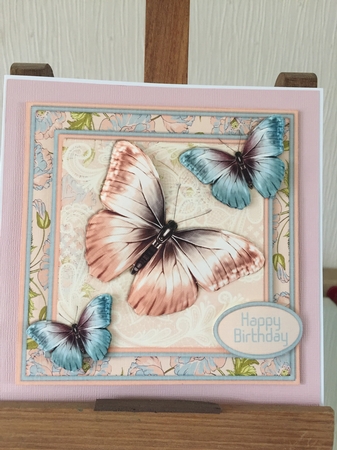 Colorful Butterflies 1468 by Beverley Hazelgrave