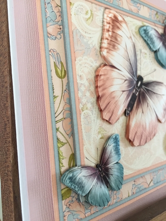 Colorful Butterflies 1468 by Beverley Hazelgrave