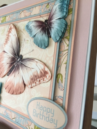 Colorful Butterflies 1468 by Beverley Hazelgrave