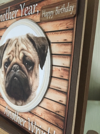Another Wrinkle Pug 8x8 by Beverley Hazelgrave