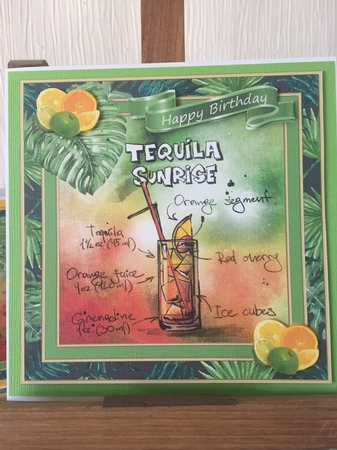 Tropical Cocktails Bumper Kit by Beverley Hazelgrave