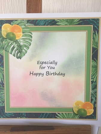 Tropical Cocktails Bumper Kit by Beverley Hazelgrave
