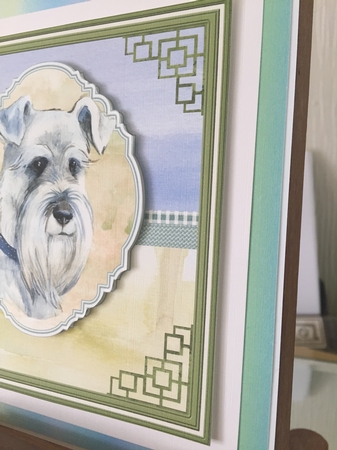 A Schnauzer dog by Beverley Hazelgrave