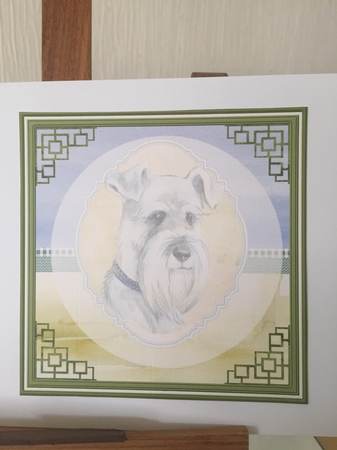 A Schnauzer dog by Beverley Hazelgrave
