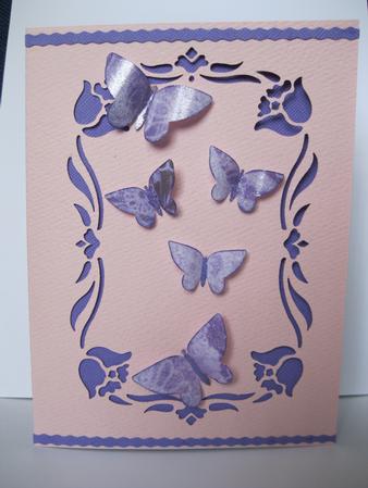 Butterfly Frame 2 by Beverley Rollings