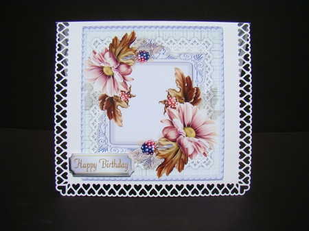 Soft Pink Daisys on lace  by Beverly Carmichael