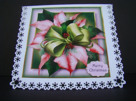 Pink Poinsettia 8x8 by Beverly Carmichael
