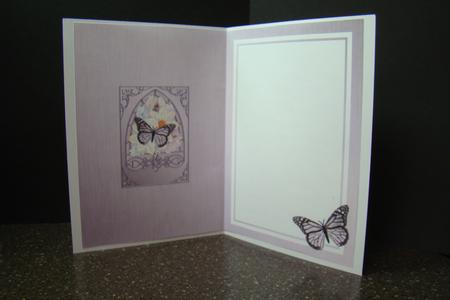 Pastel Butterflies & Flowers Fancy Arch Shaped Insert by Beverly Carmichael