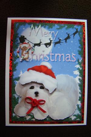Puppy's Christmas by Beverly Carmichael