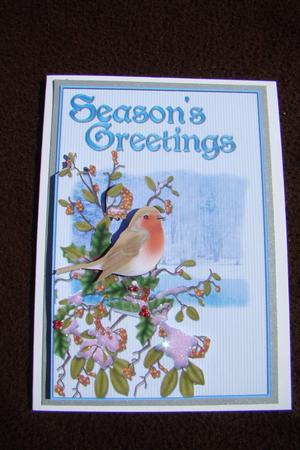 Seasonal Robin by Beverly Carmichael