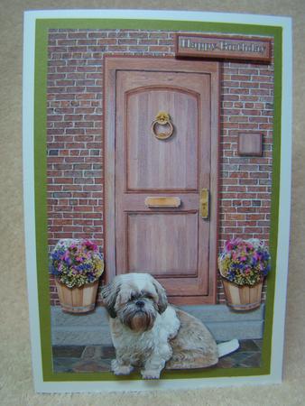 Shih Tzu Door Step Scene by Beverly Carmichael