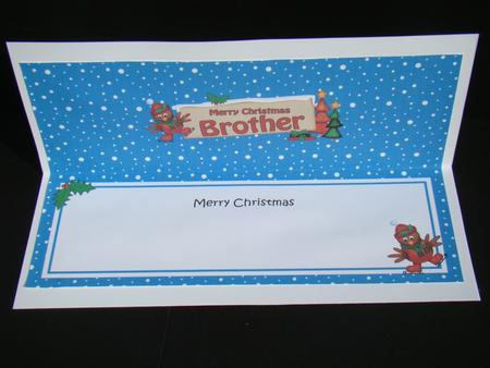 Xmas Brother Robin Signpost Large Dl Matching Insert by Beverly Carmichael