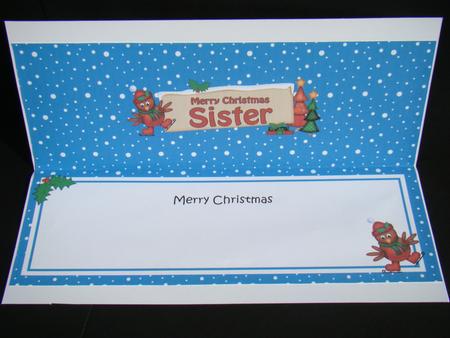 Xmas Sister Robin Signpost Large Dl Matching Insert by Beverly Carmichael