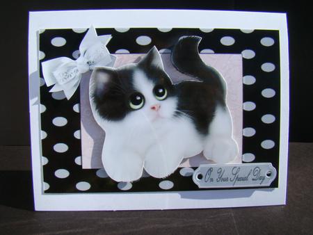 Cute Black & White Fluffy Kitten in Polka Dot Frame by Beverly Carmichael
