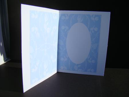 Shadow Roses Blue White Insert by Beverly Carmichael
