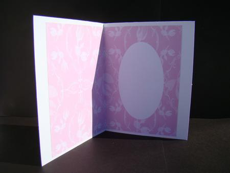 Shadow Roses Pink White Insert by Beverly Carmichael