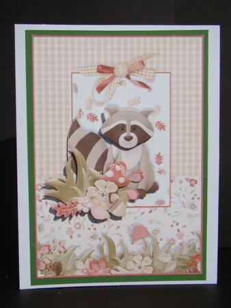 Raccoon in the Woodland Card Front by Beverly Carmichael