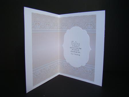 Vintage Lace Panel A4 Background - Peach by Beverly Carmichael