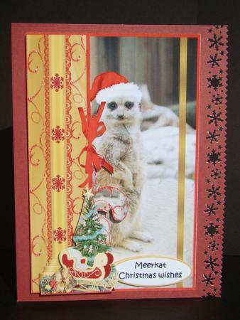 Meerkat Christmas by Beverly Carmichael