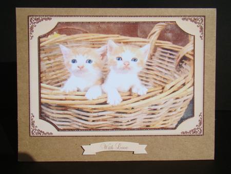 2 Little Kittens Watercolour Quick Card by Beverly Carmichael
