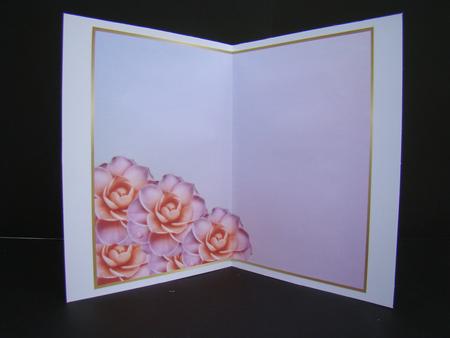 A4 Background Pink Camelia's by Beverly Carmichael