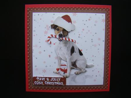 Jack Russell Christmas Quick Card with Sentiments by Beverly Carmichael
