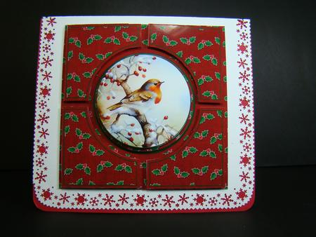 Red Robin Architects Quad 8in Cf Kit by Beverly Carmichael