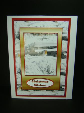The Robin by Beverly Carmichael